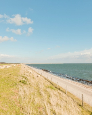 Dutch wide landscape with dike and blue cloudy sky. Waddenzee. Waddensea. Wadden island. Texel. The Netherlands.