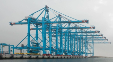 APMT cranes
