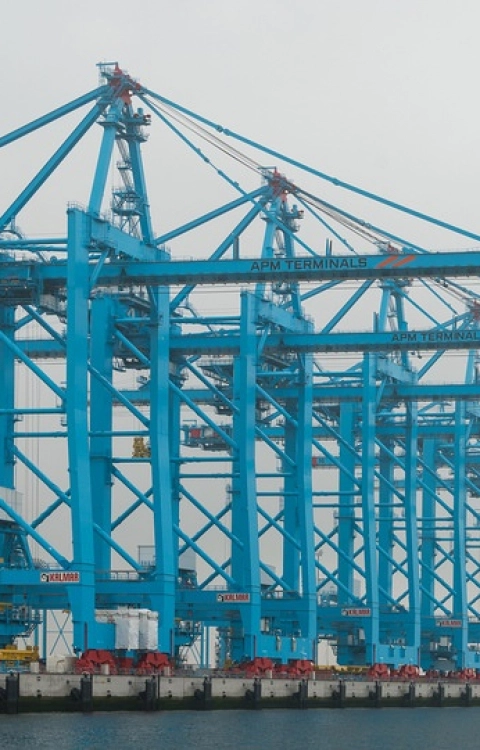 APMT cranes