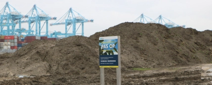 Knotweed, Port of Rotterdam