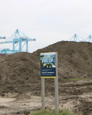 Knotweed, Port of Rotterdam