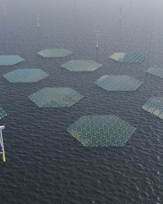Floating solar platform - SolarDuck