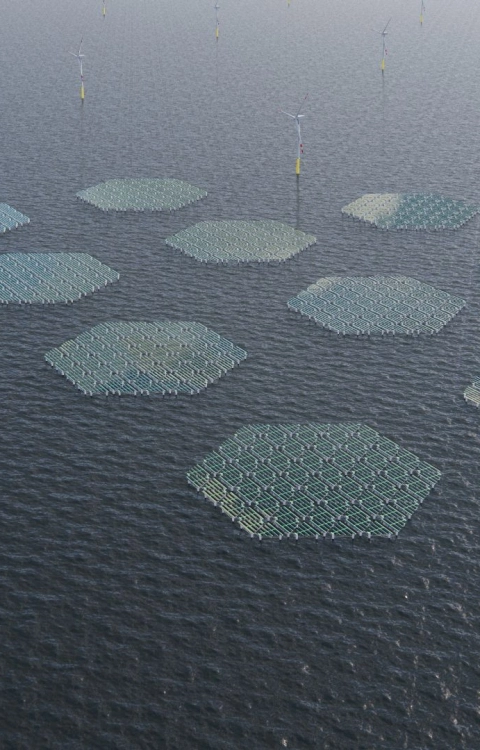 Floating solar platform - SolarDuck