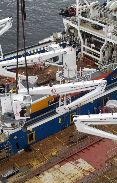 Knuckle boom cranes with customised design