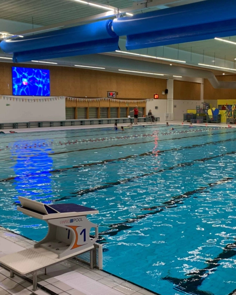 Swimmingpool Blokweer