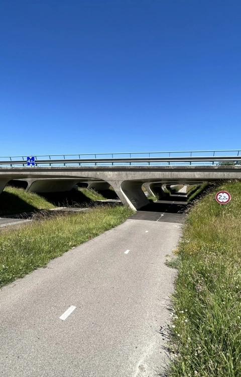 Areaalbeoordeling constructieve veiligheid