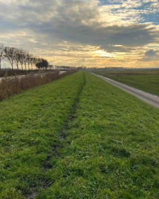 Dijkversterking Eilandspolder