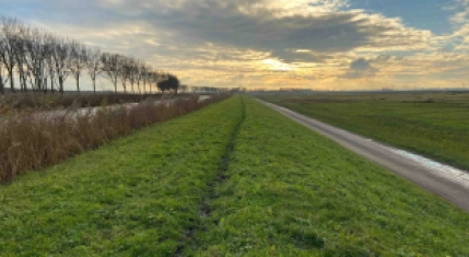 Dijkversterking Eilandspolder