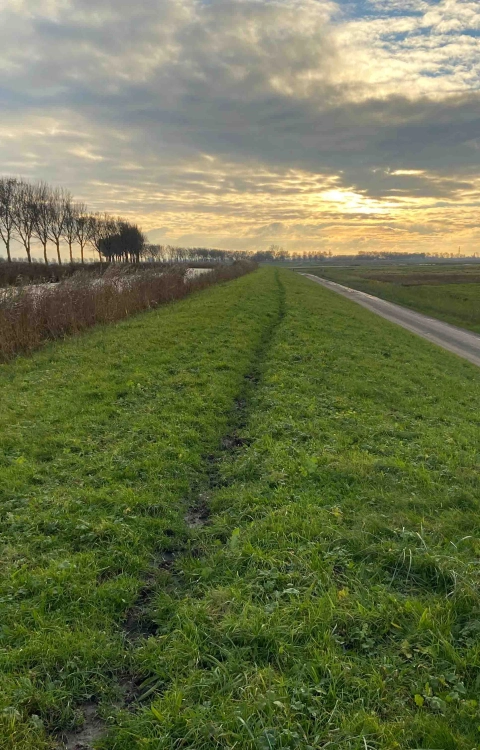 Dijkversterking Eilandspolder