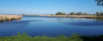 Dijkversterking Eilandspolder