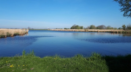 Dijkversterking Eilandspolder
