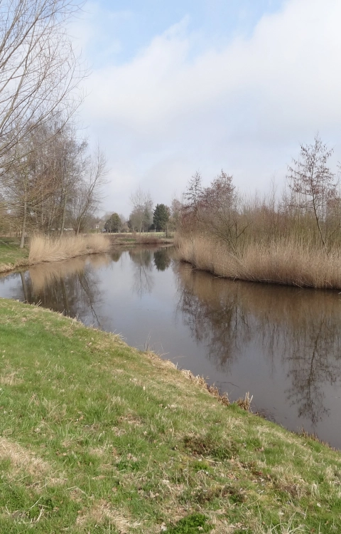 Overstromingsberekening Sint-Oedenrode