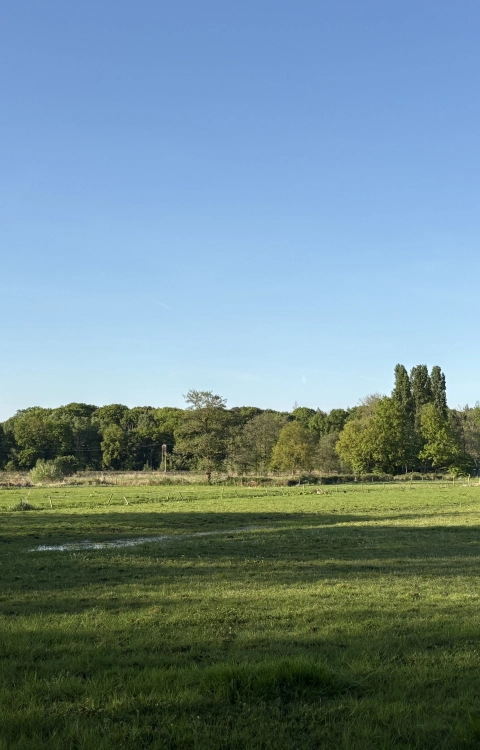 Natuurontwikkeling