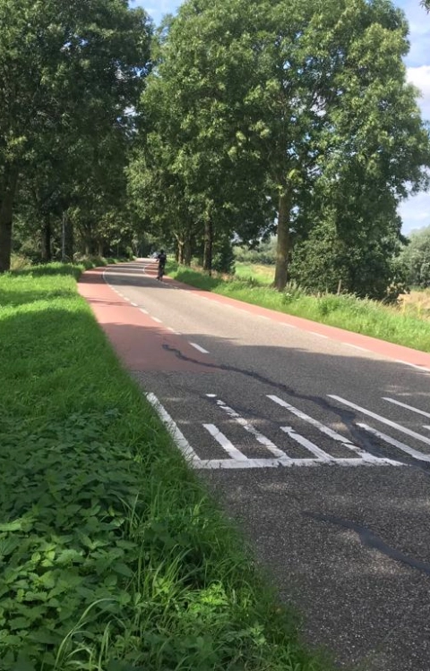 Reconstructie Winterdijk