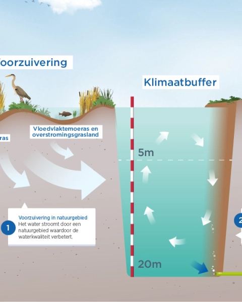 Klimaatbuffer IJsselmeer